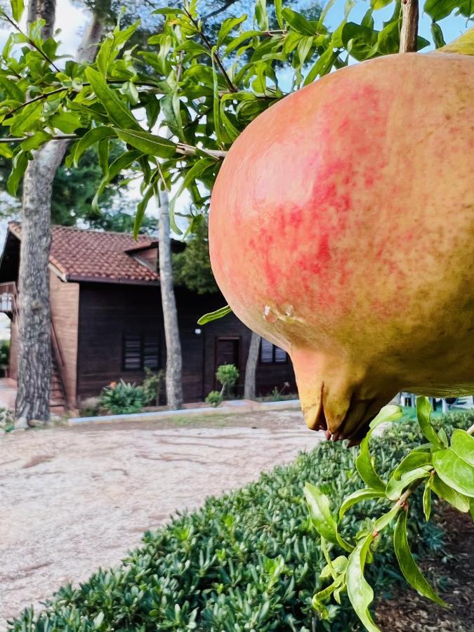 Villa Rosemary Марсала Экстерьер фото